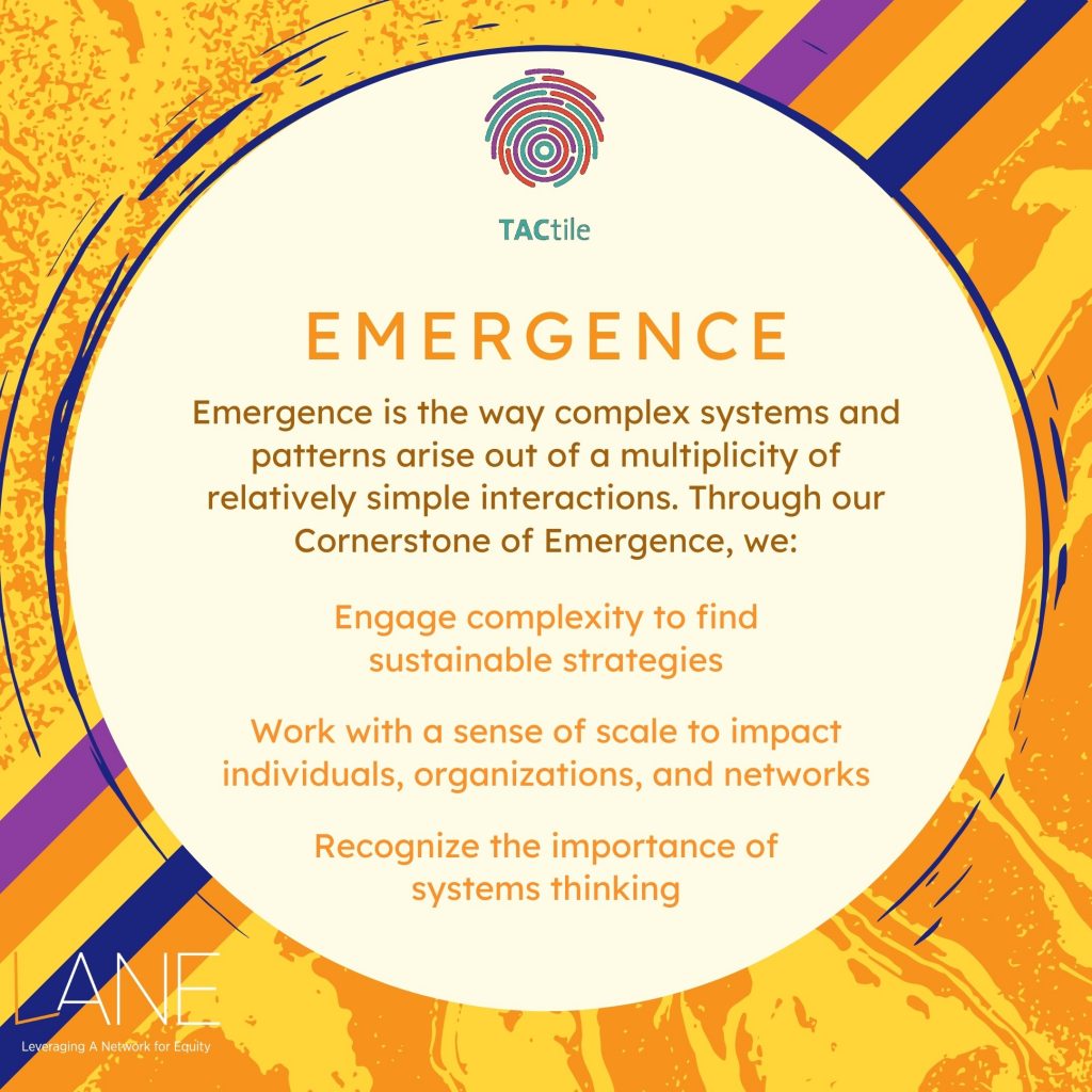 Emergence is the way complex systems and patterns arise out of a multiplicity of relatively simple interactions. Through our Cornerstone of Emergence, we: * Engage complexity to find sustainable strategies * Work with a sense of scale to impact individuals, organizations, and networks * Recognize the importance of systems thinking