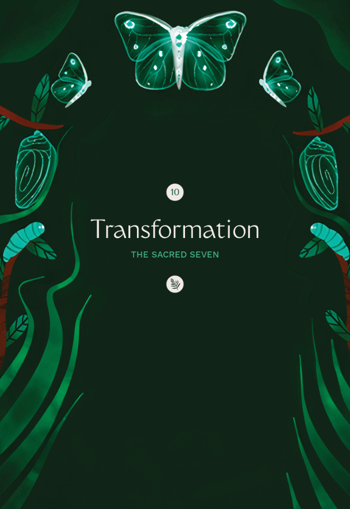 A dark green background with an illustration of a symmetrical semi-circle diagram of a butterfly’s stages of metamorphosis: caterpillar, chrysalis, and butterfly (in profile). A large butterfly is centered at the top of the card with wings spread Waving green grass sits at the bottom left and right corners.